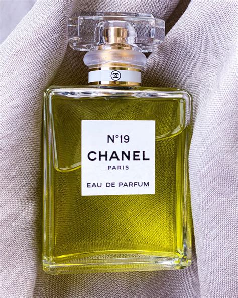 chanel no. 19|chanel no 19 review.